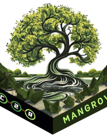 Mangrove_NFT__2_-removebg-e1696958718378